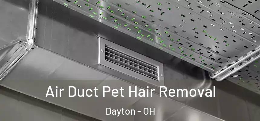 Air Duct Pet Hair Removal Dayton - OH