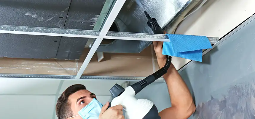 Our Air Duct Rodent Removal Services in Dayton, OH