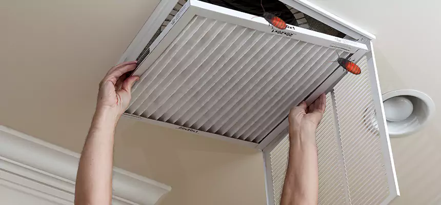 Our Insect Removal from Air Ducts Services in Dayton, OH