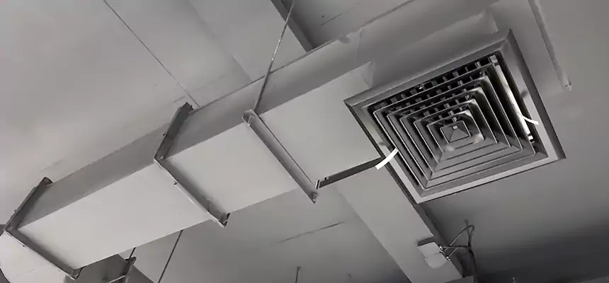 Our Pest Removal From Ducts Services in Dayton, OH