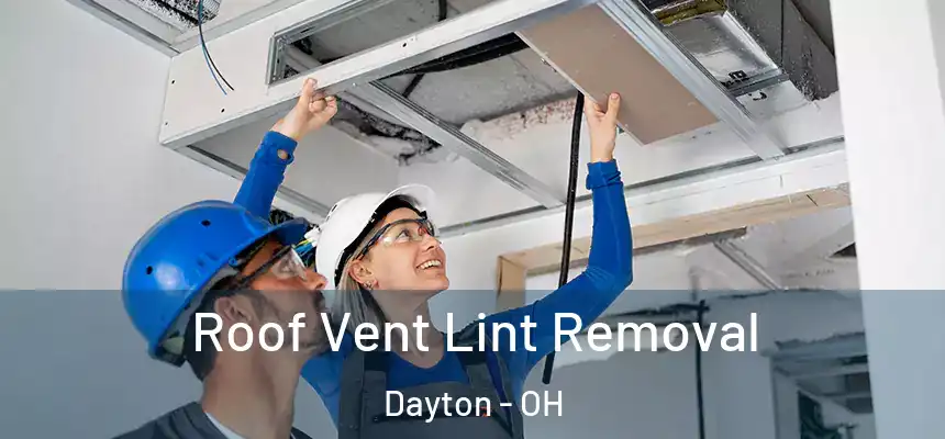  Roof Vent Lint Removal Dayton - OH