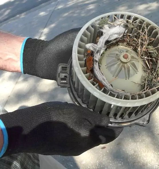 About Air Duct Mice Removal in Dayton, OH