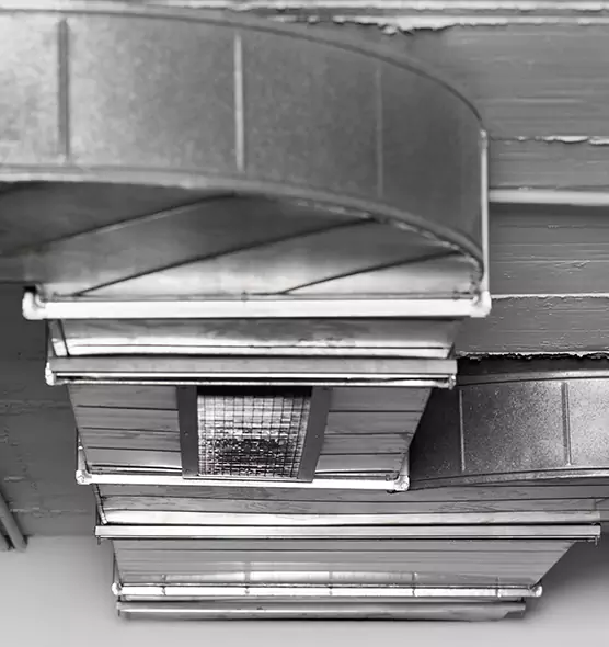 Professional Air Duct Pet Hair Removal in Dayton, OH